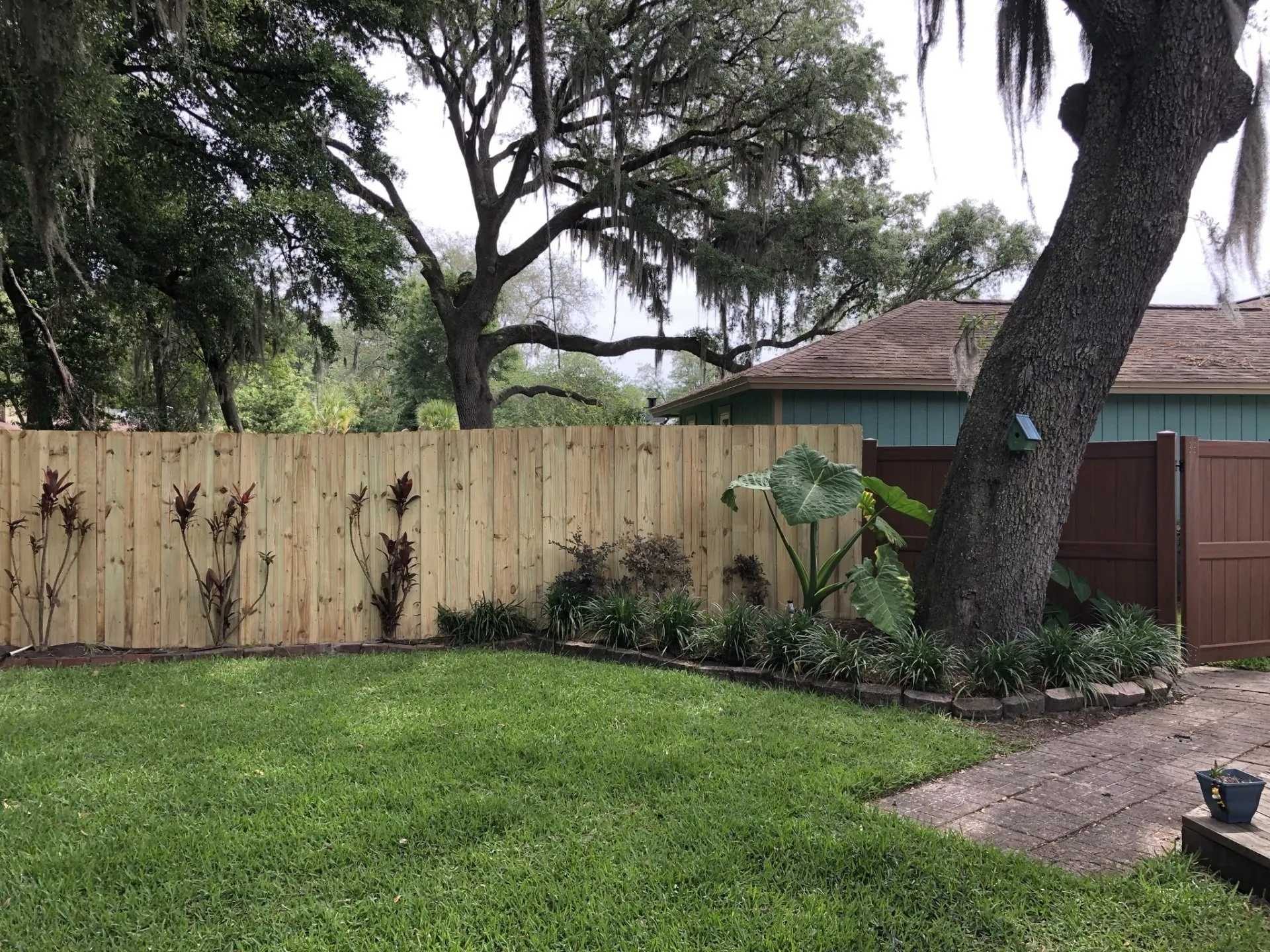 Custom wood privacy fence built under a live oak tree in a Jacksonville, FL backyard
